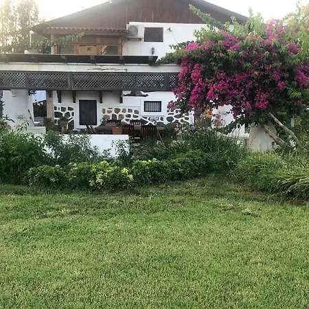 A Summer House Is Close To The Sea With A Garden